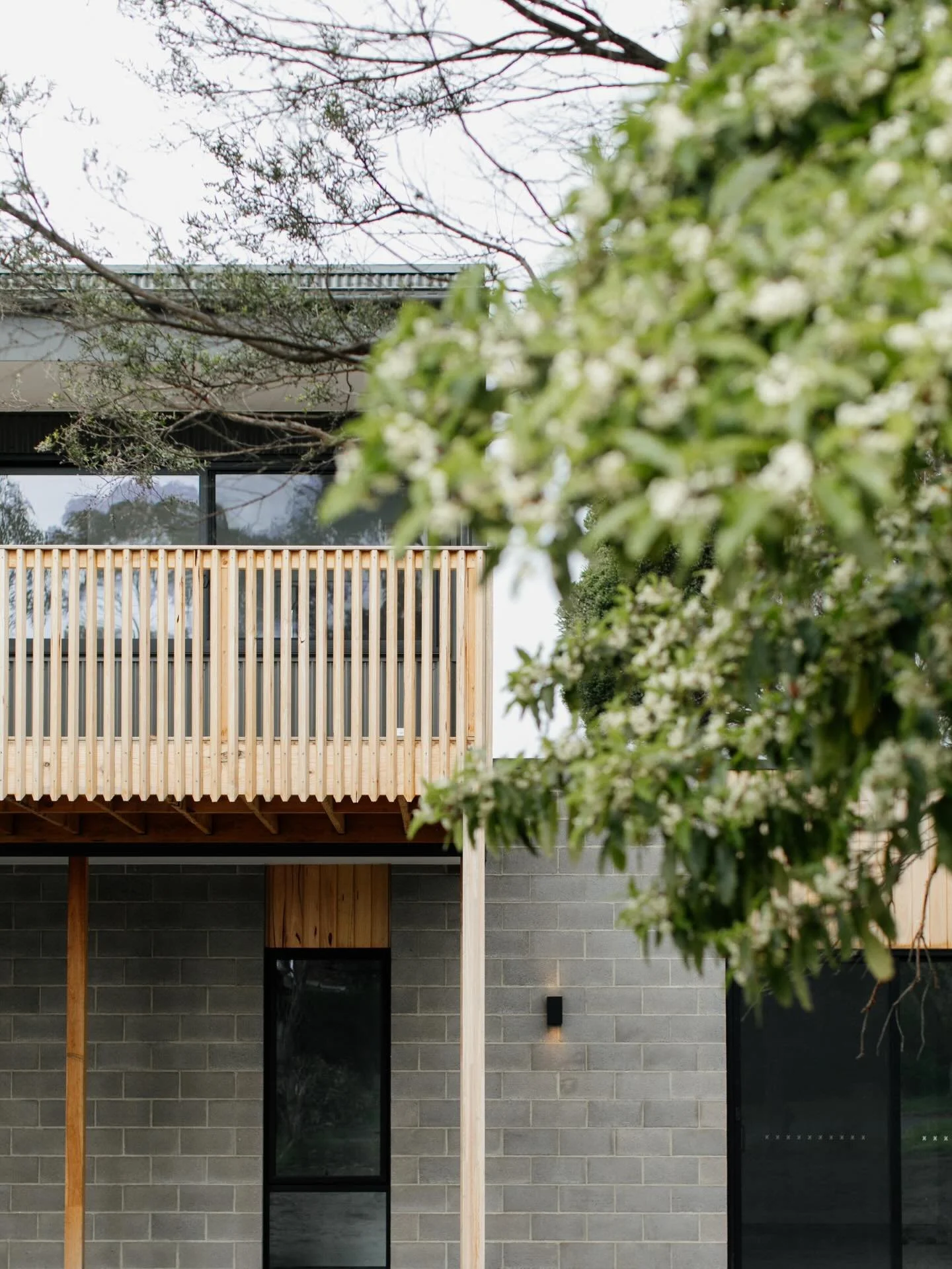 Anderson Avenue.

Set within the leafy surrounds of Inverloch, where carefully considered elements blend seamlessly with the natural landscape.