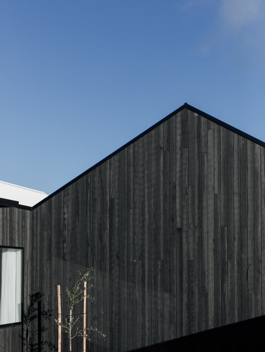The Tasman.

A striking home defined by its charred timber cladding, set beautifully against its coastal surrounds.

The rich, textured facade is softened by natural light and thoughtful landscaping, creating a home that feels both bold and refined.
