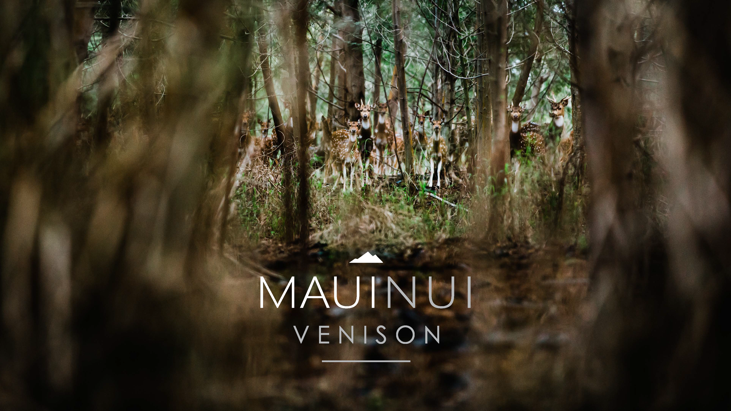 MauiNui_BrandBook_033020_Page_01.png