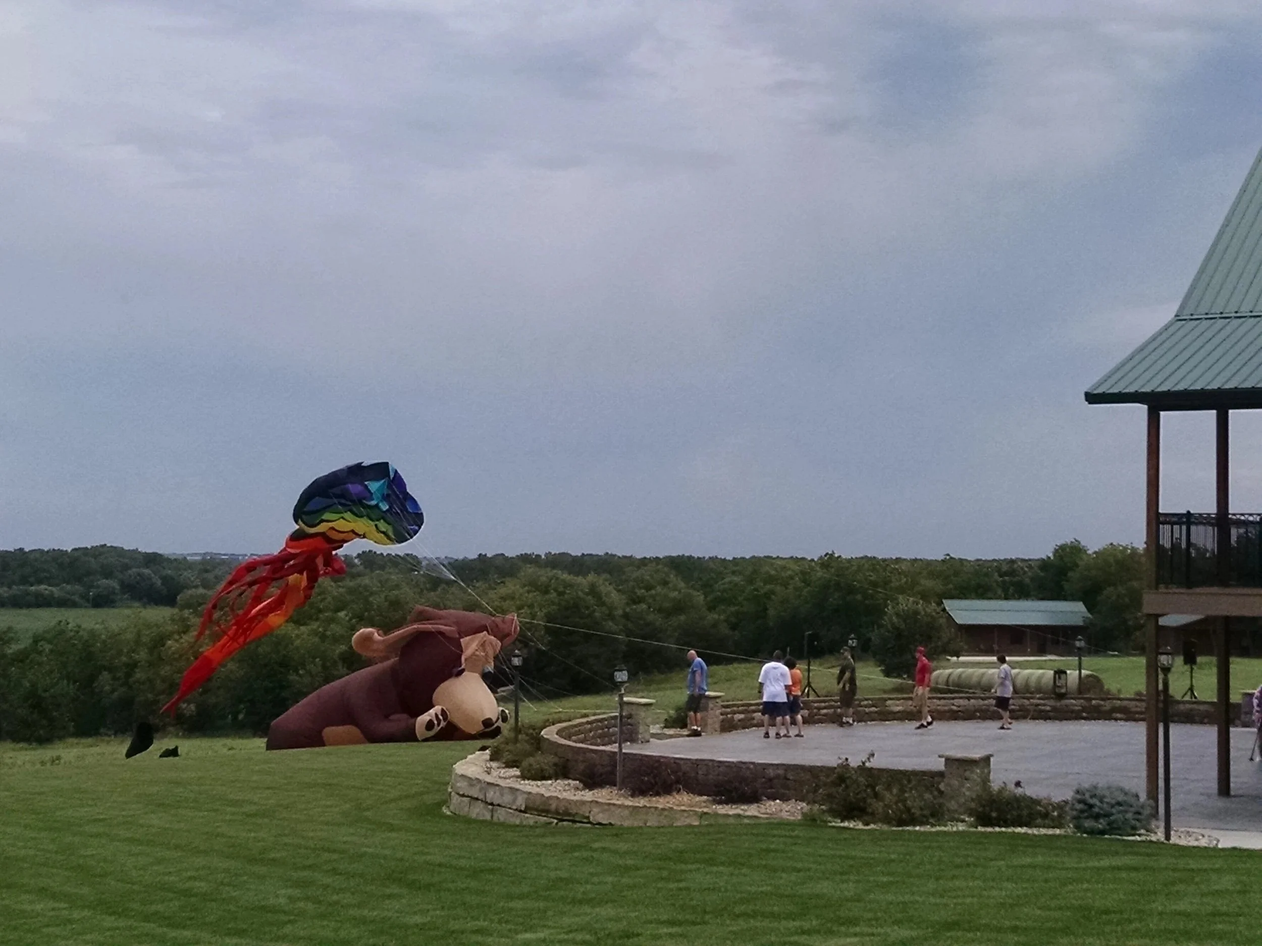 Family flying jumbo kites on back patio and in country area