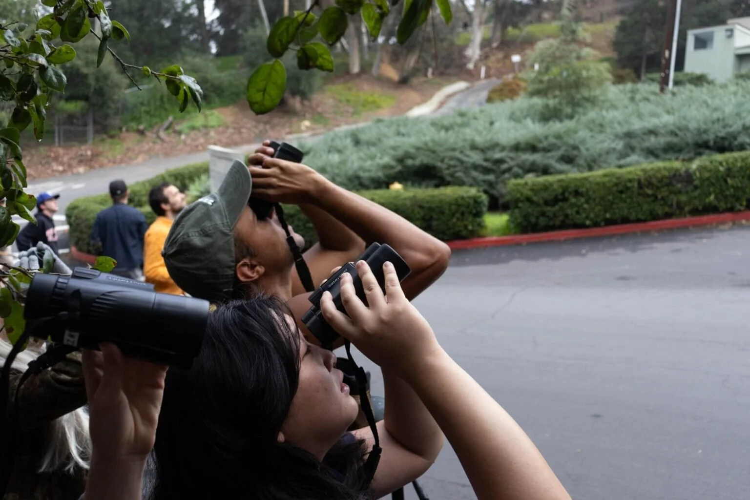 Bird Walk for The Occidental Newspaper