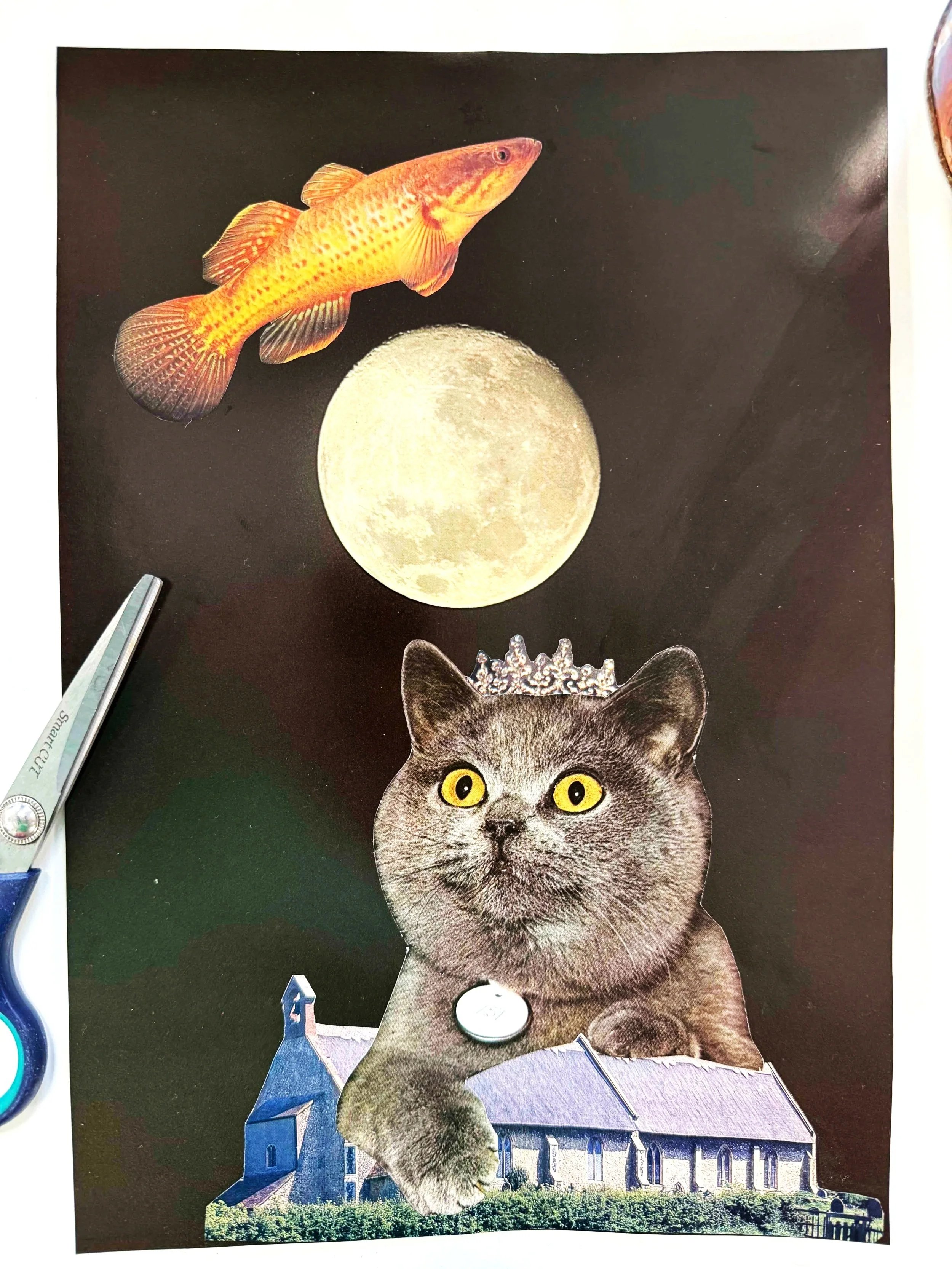Collage+CatMoon.jpg