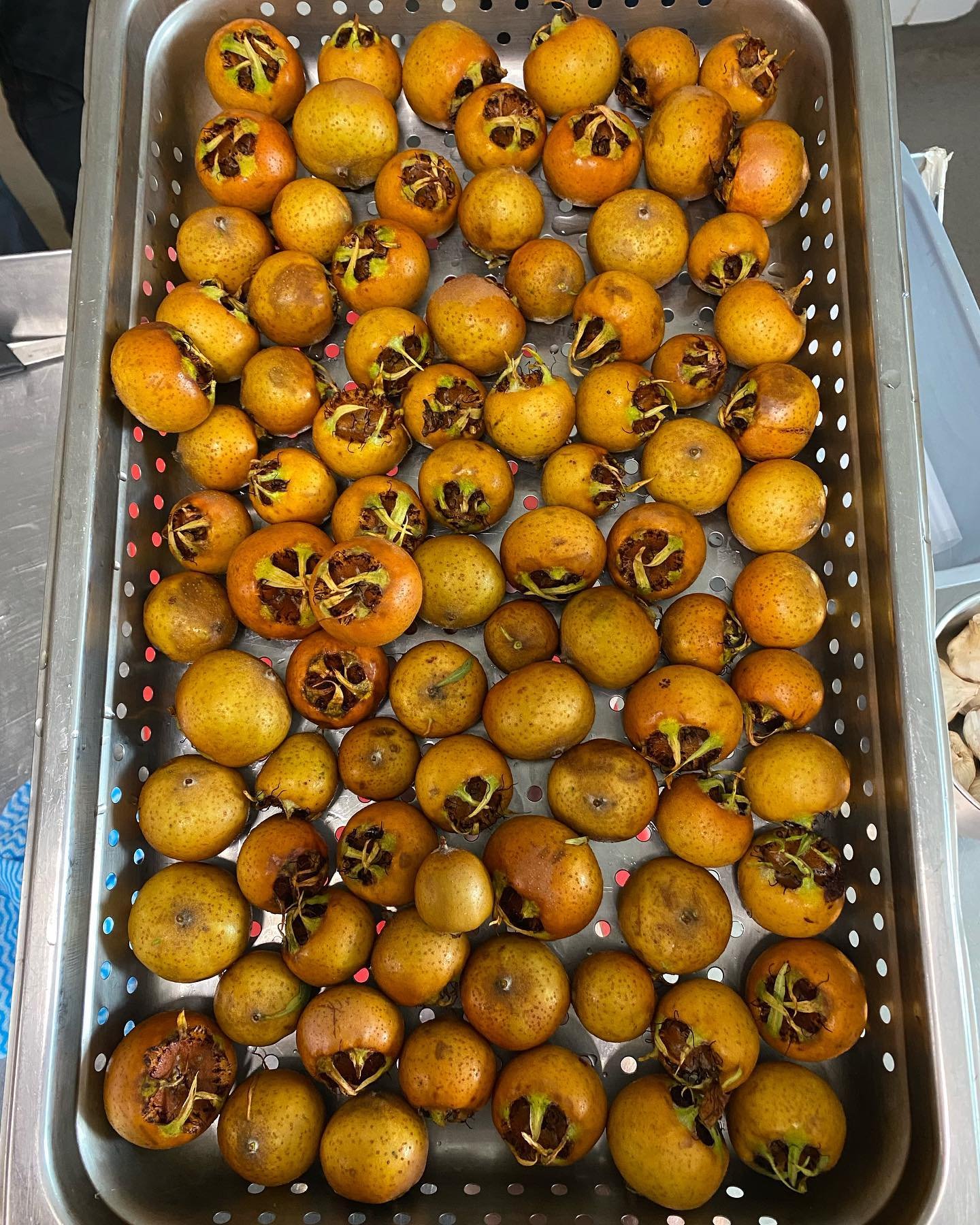 The end of the warmer weather gives us a chance to capture some peak summer produce using fermentation/ pickling &amp; preservation, allowing us to let a little sunshine in on our plates through the cooler months of winter.

1/ medlars that are &ldqu