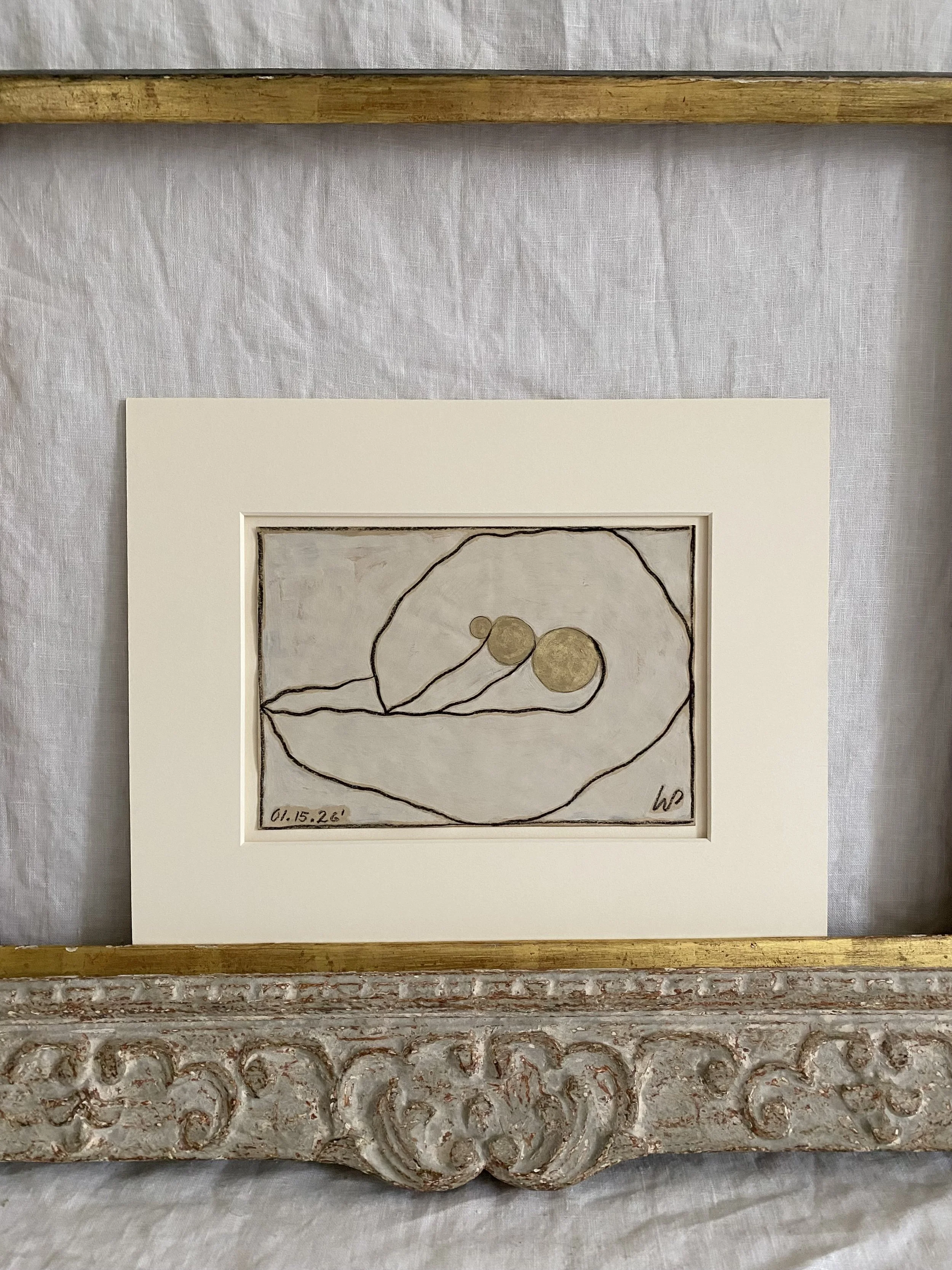 Variation Of A Ammonite