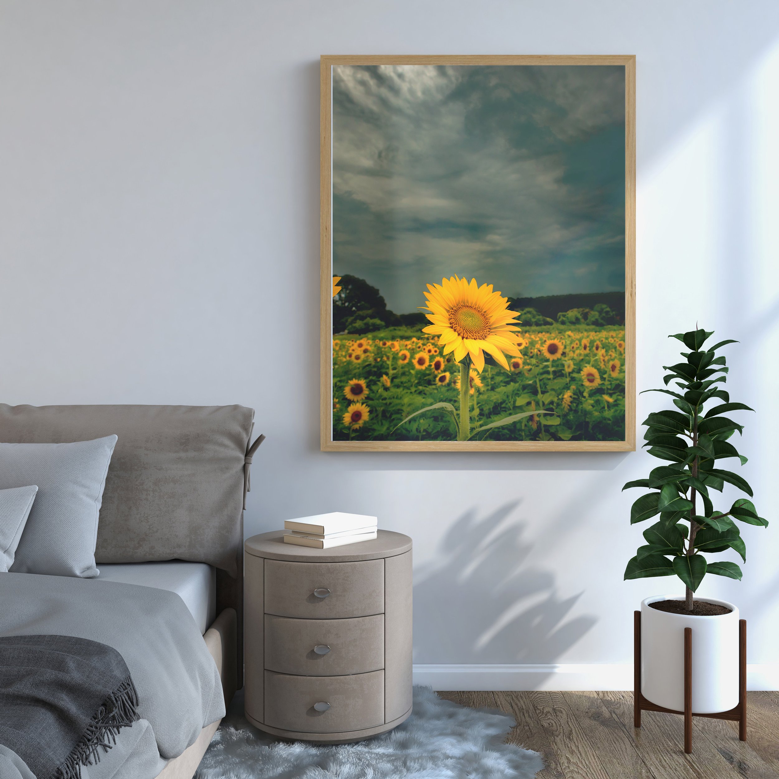 https://i.etsystatic.com/37088756/r/il/fa48a8/4779426394/il_fullxfull.4779426394_o4so.jpg