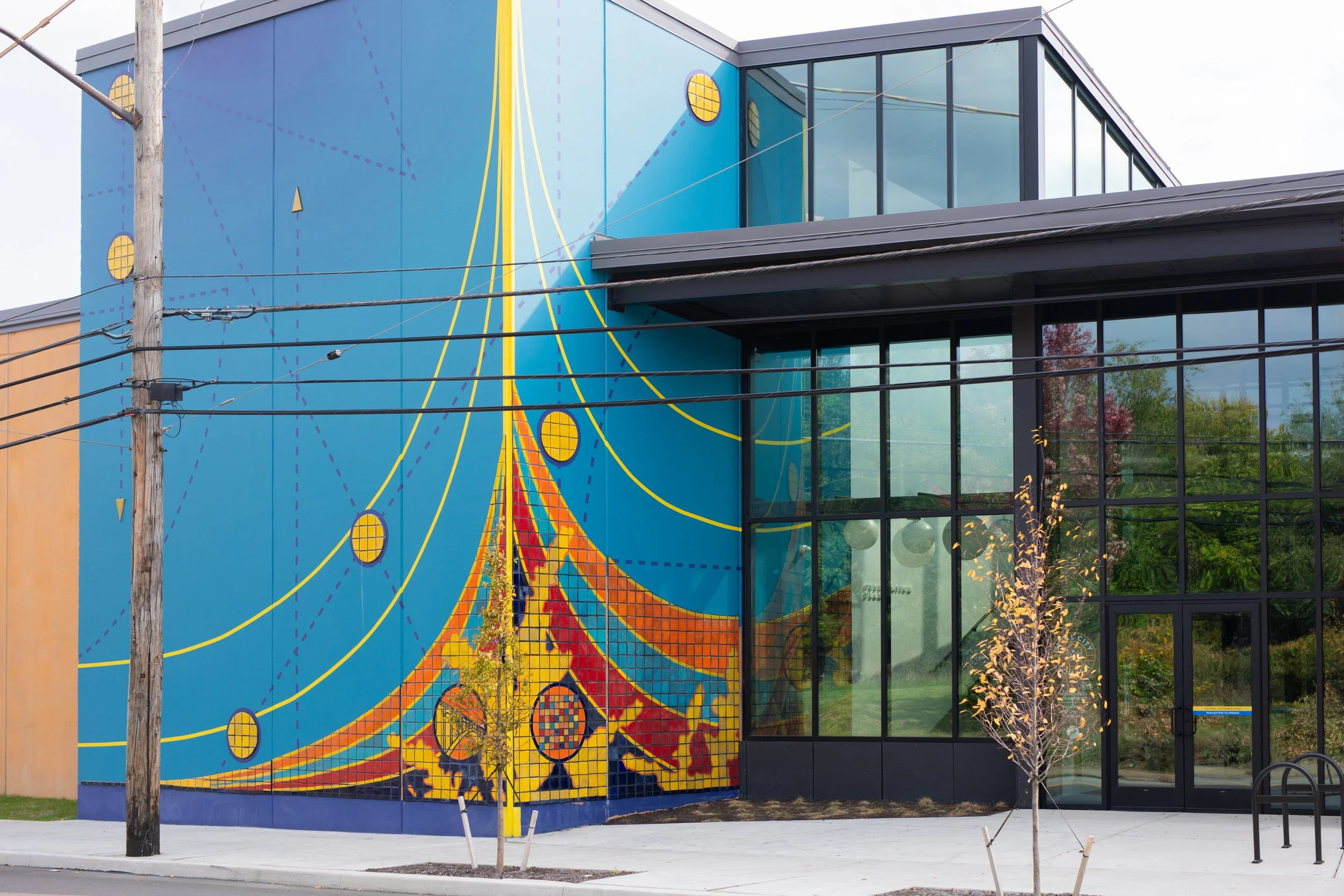 Rooted Momentum-Alecia Dawn Young