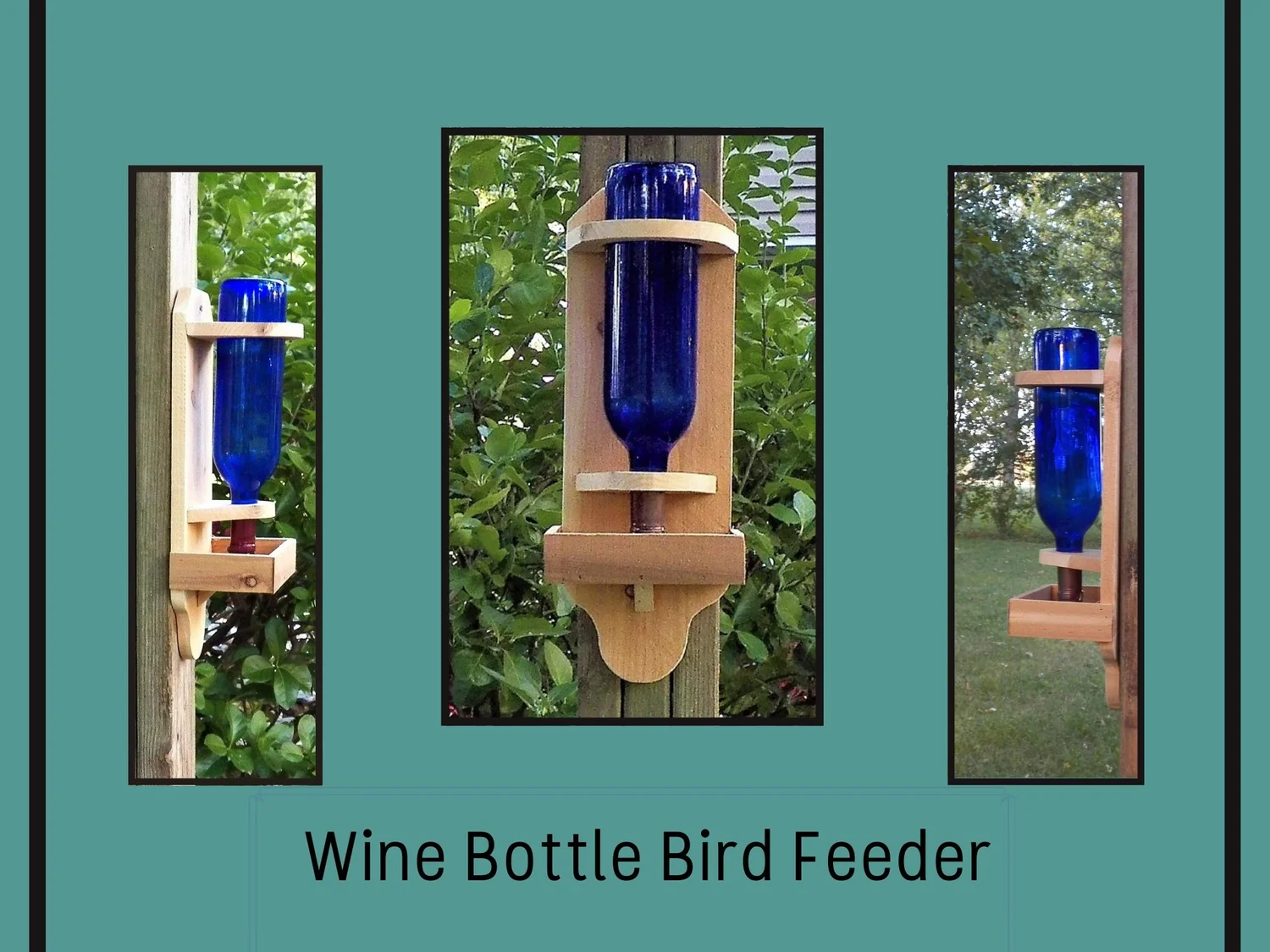 How to Make Beer Bottle Bird Feeder: Easy DIY Guide to Attract Birds