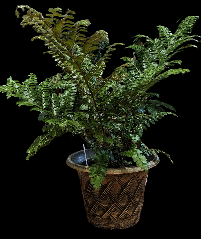 PXL_20231105_000758796~2.png