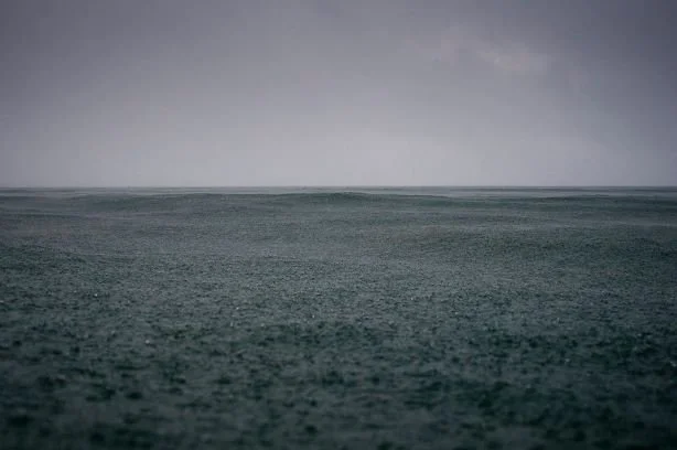 CHE CHORLEY, CCP ALUMNUS, WINS HEYSEN PRIZE