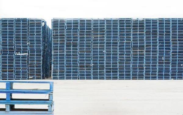 FRANCESCA GERMANIS WINS YOUNG PHOTOGRAPHER AWARD!