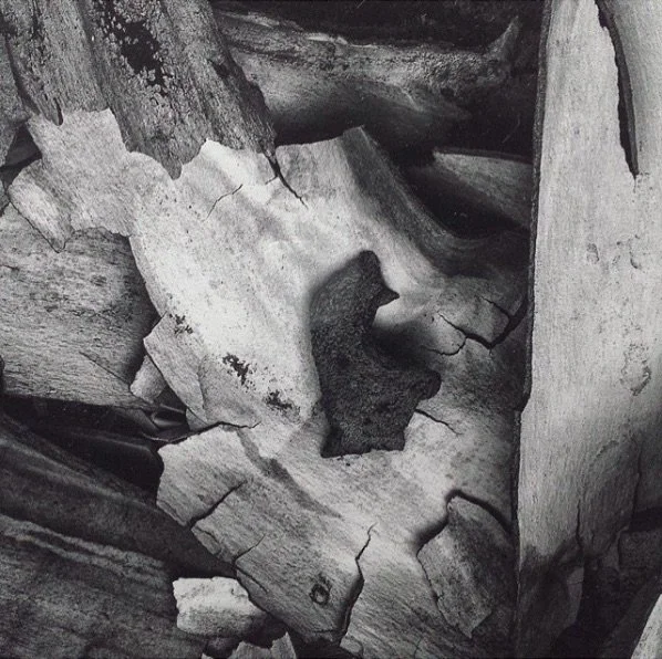 GARY SAUER-THOMPSON'S LIGHT GALLERY SHOW WINS SALA AWARD