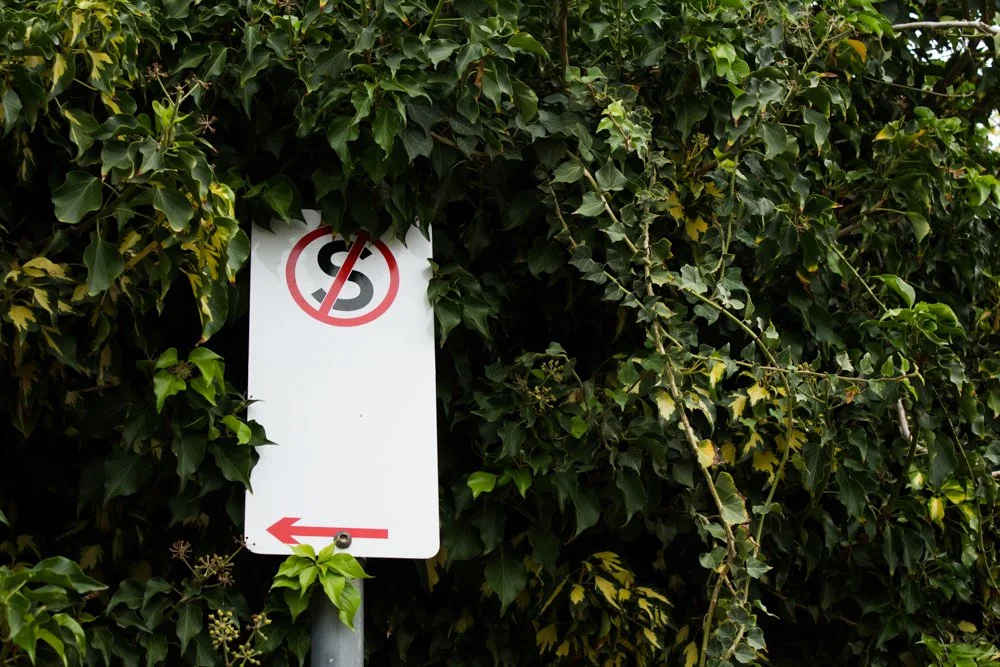 MATTHEW REID WINS MOST PROMISING YOUNG PHOTOGRAPHER AWARD