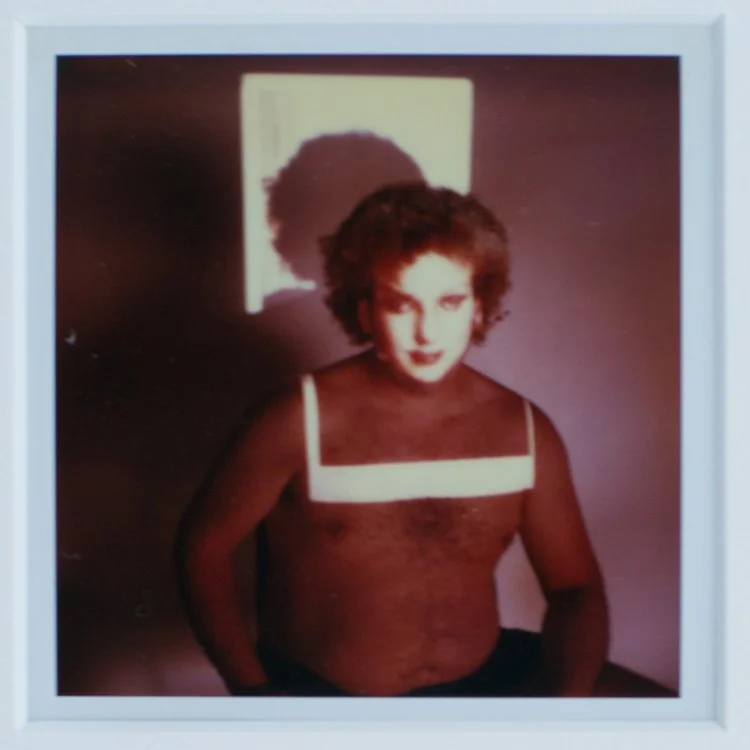 THE EVOLUTION OF THE IMMACULATES