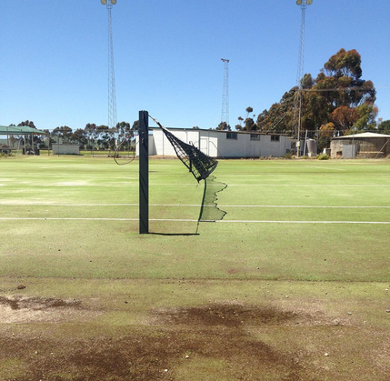 20 years on: CCP Graduate Sue Michael