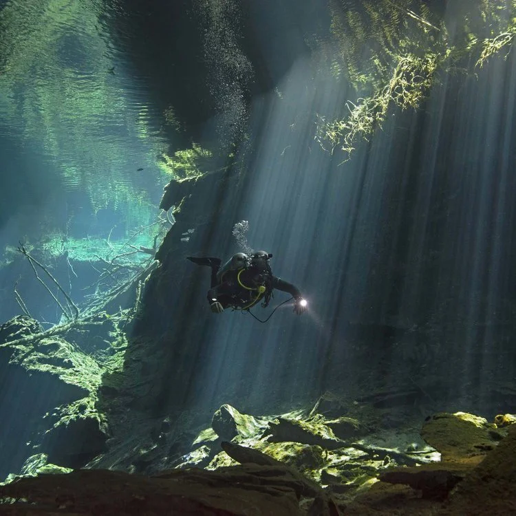 Student Spotlight: Diana Fernie - AIPP South Australian Student Photographer of the Year