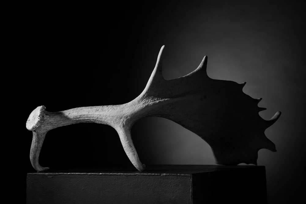 Photo by Lachlan Giles