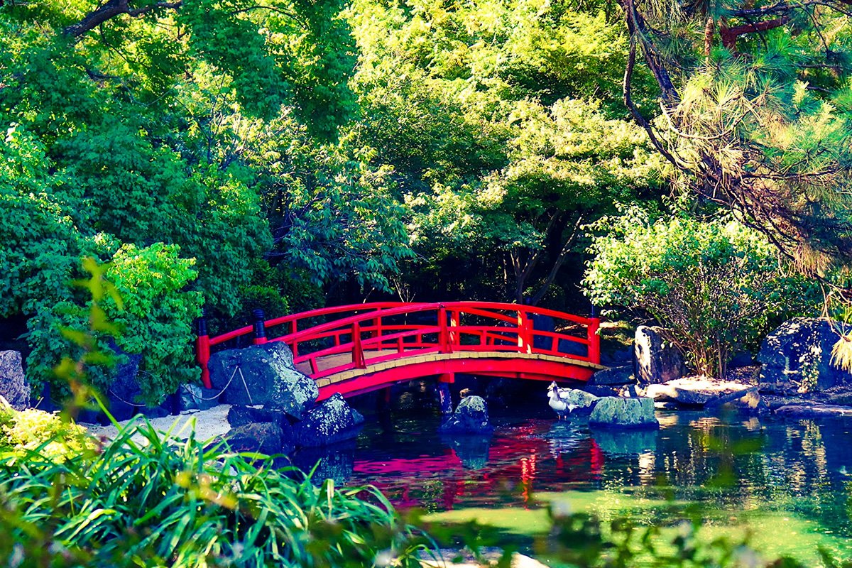 Reflection of a red bridge by Parisa Azad from St. George Girls High School NSW