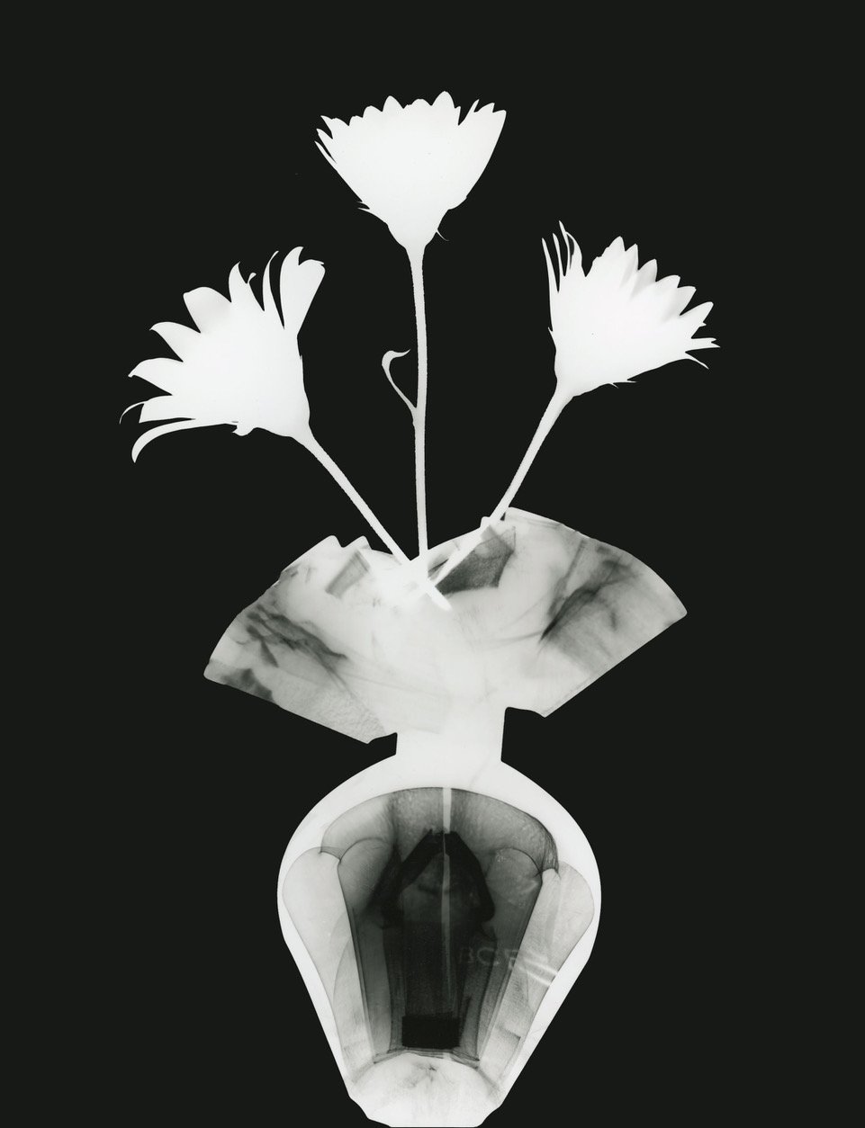 Atkins photogram 4.jpeg