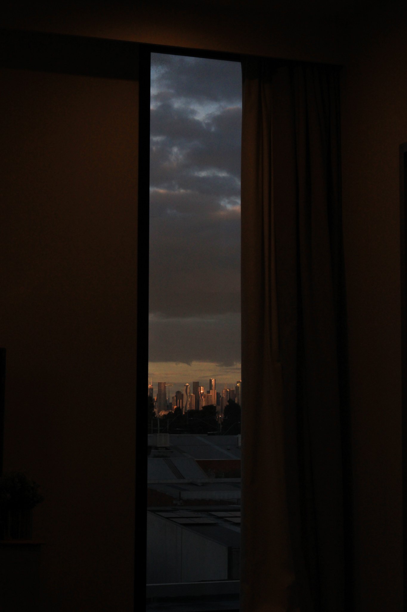 IMG_7148.jpg