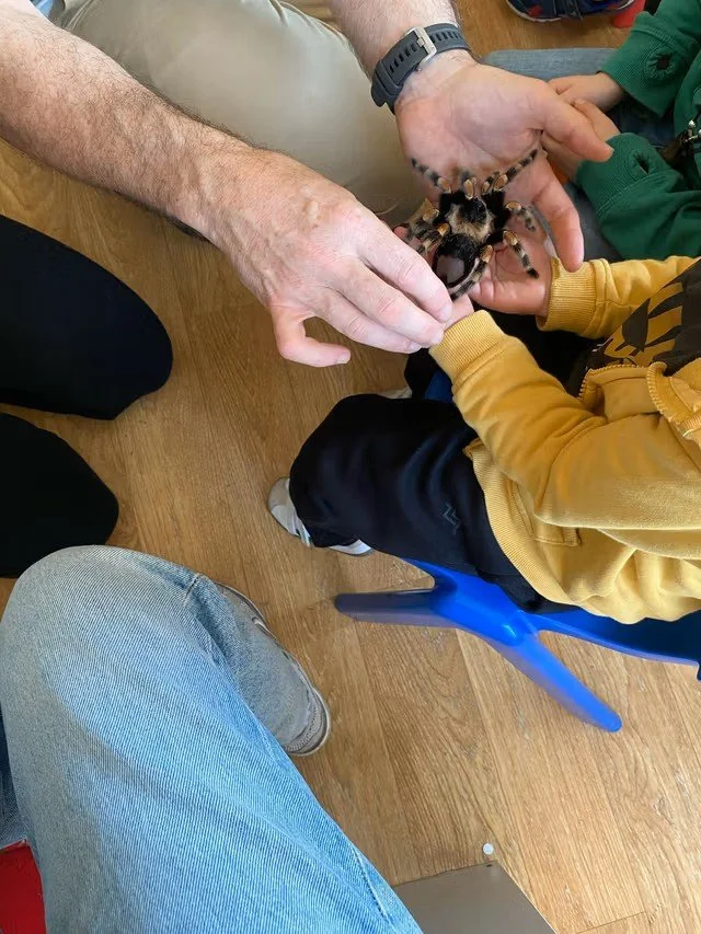 Animations spider.jpg