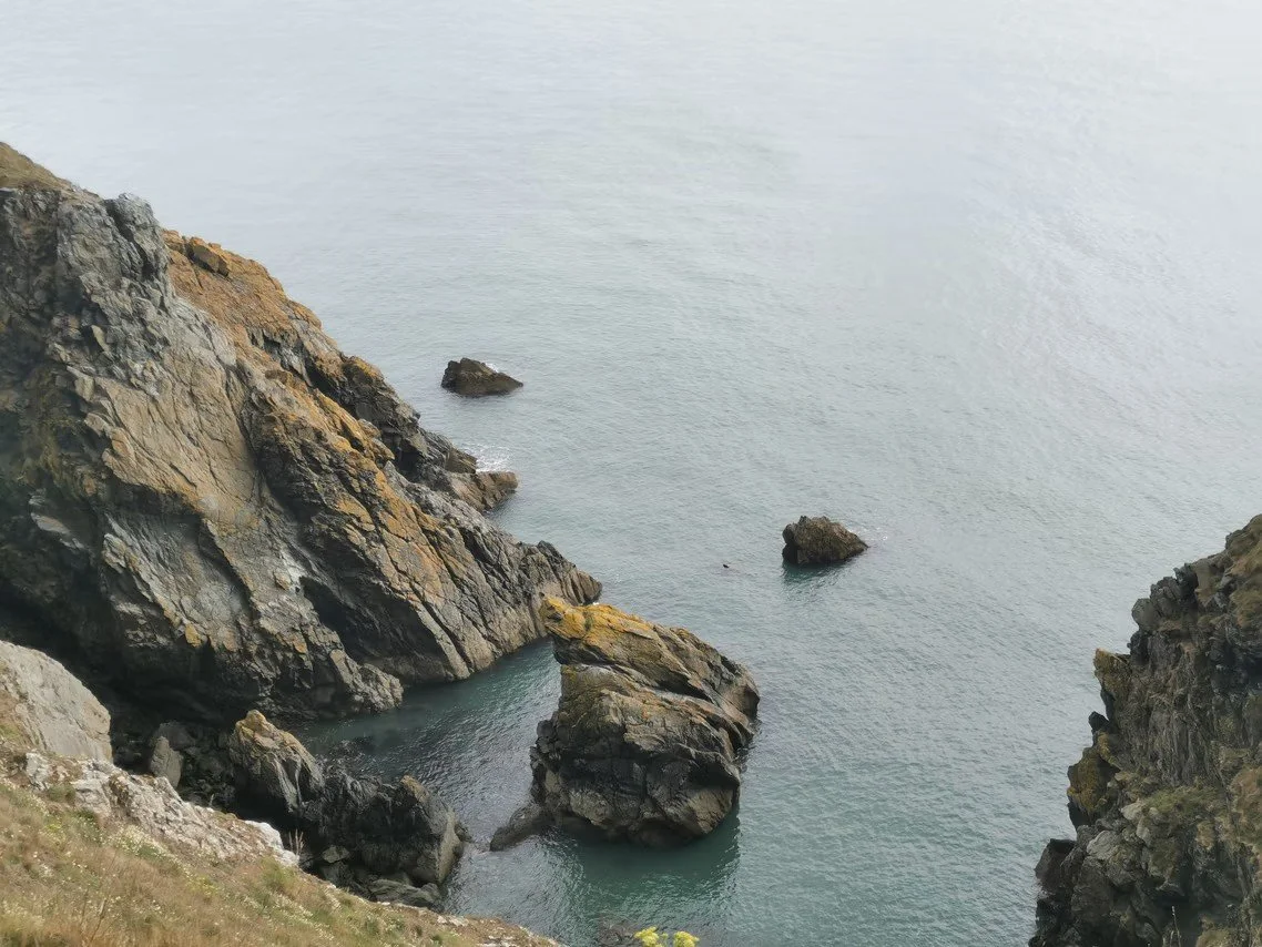 LA RANDONNEE A HOWTH 3.jpg