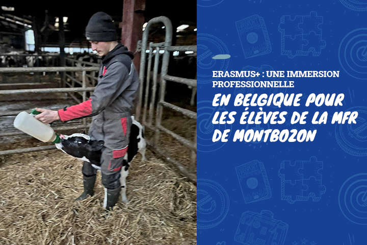 🇧🇪 Erasmus+ : une immersion professionnelle en Belgique pour les élèves de la MFR de Montbozon 