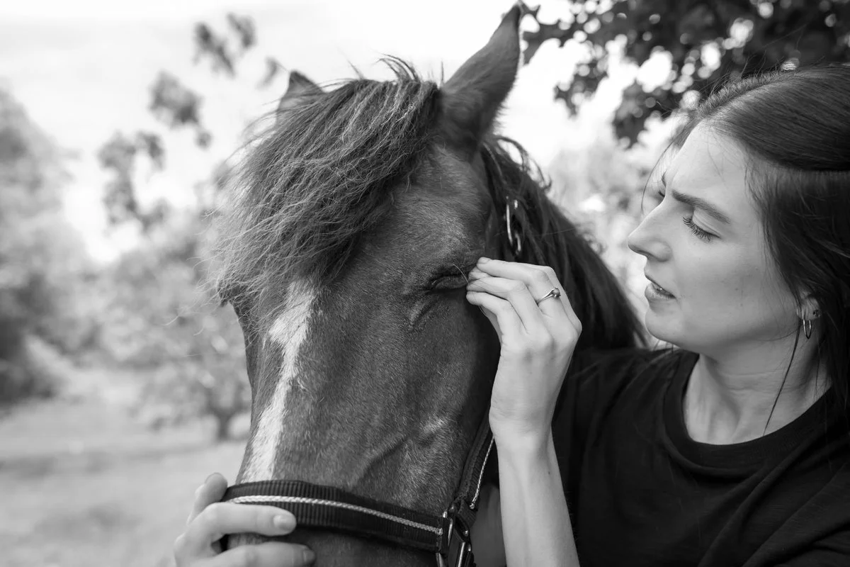 Nelson Horse Photoshoot-2.jpg