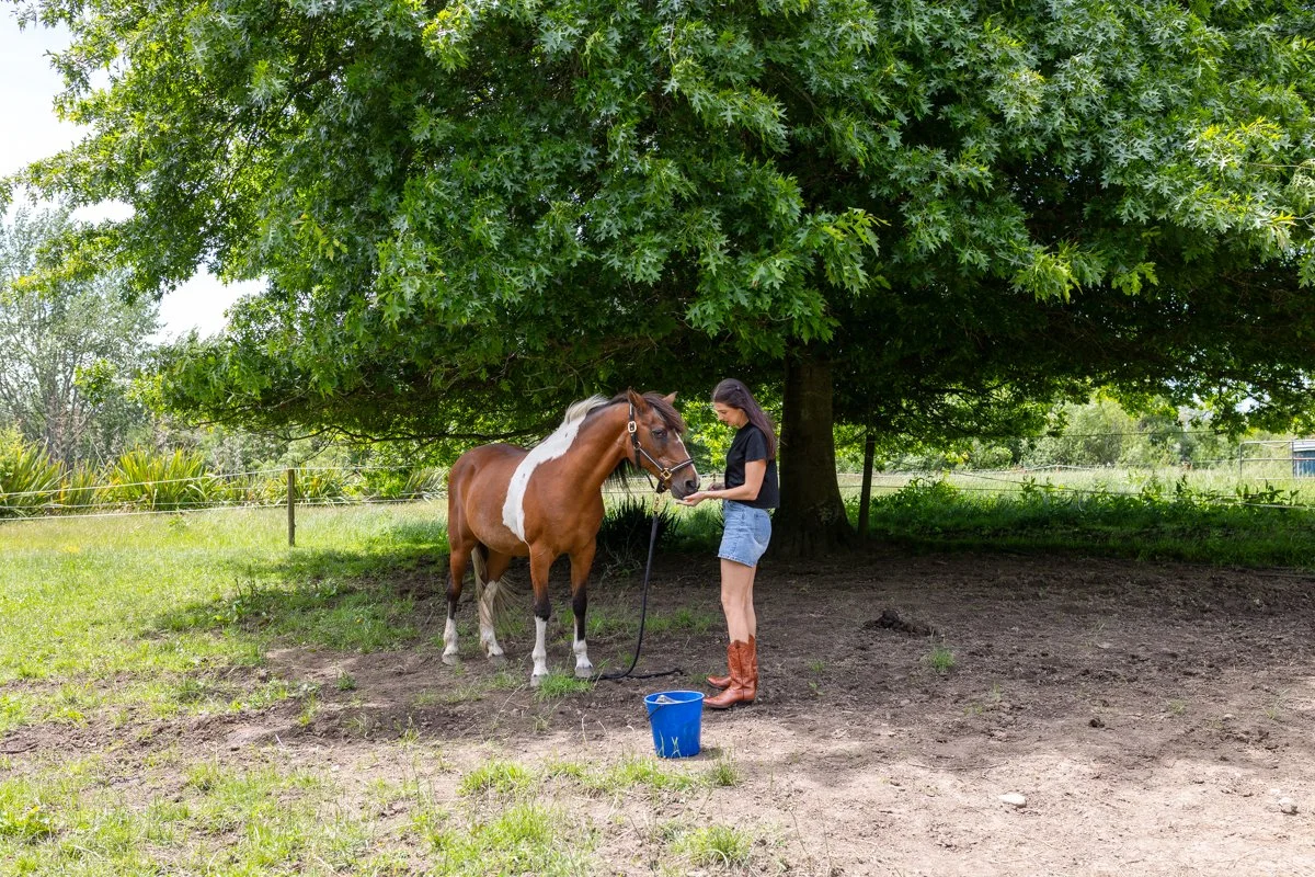 Nelson Horse Photoshoot-4.jpg