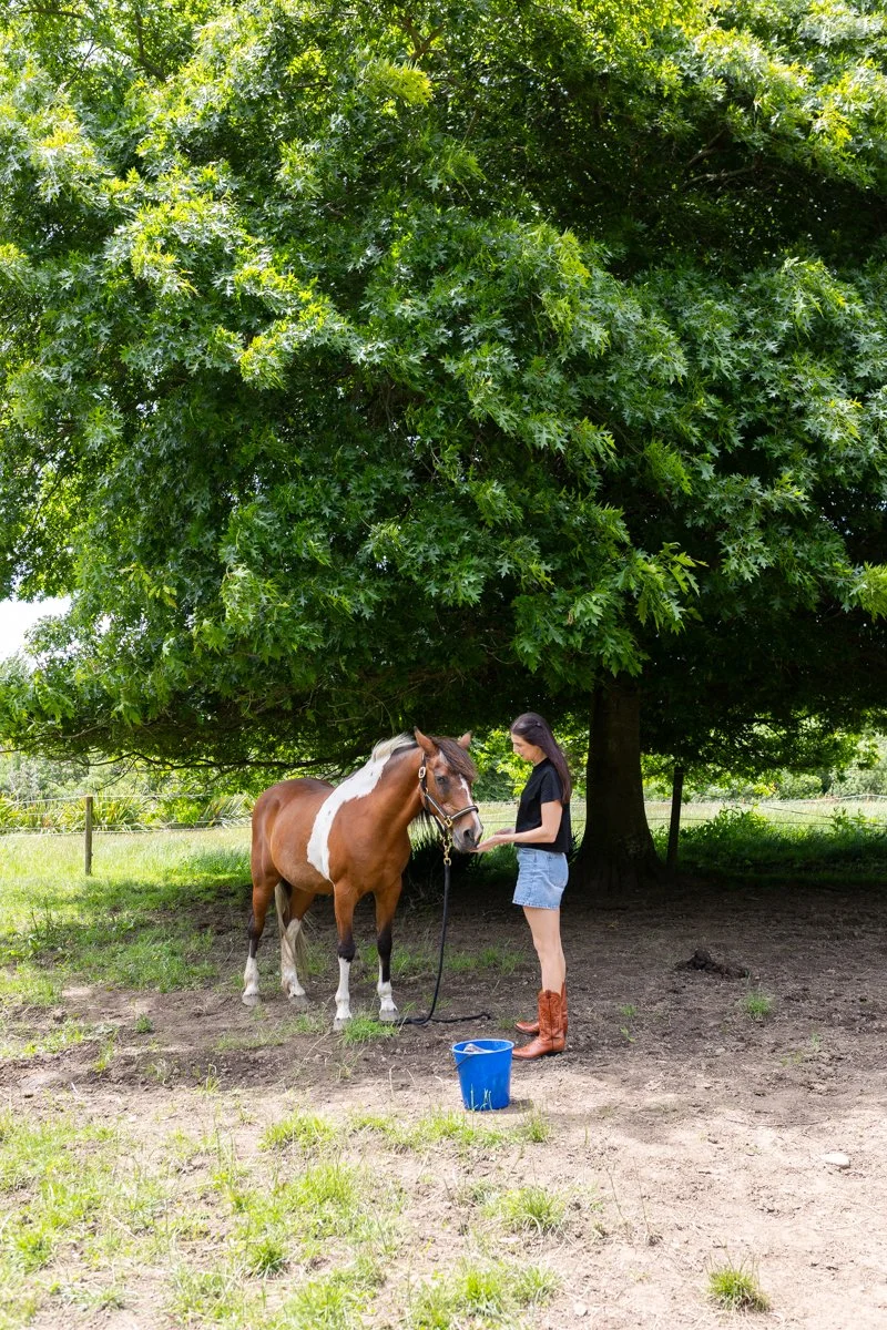 Nelson Horse Photoshoot-5.jpg