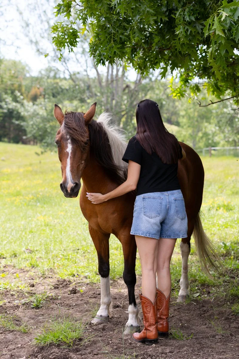 Nelson Horse Photoshoot-6.jpg