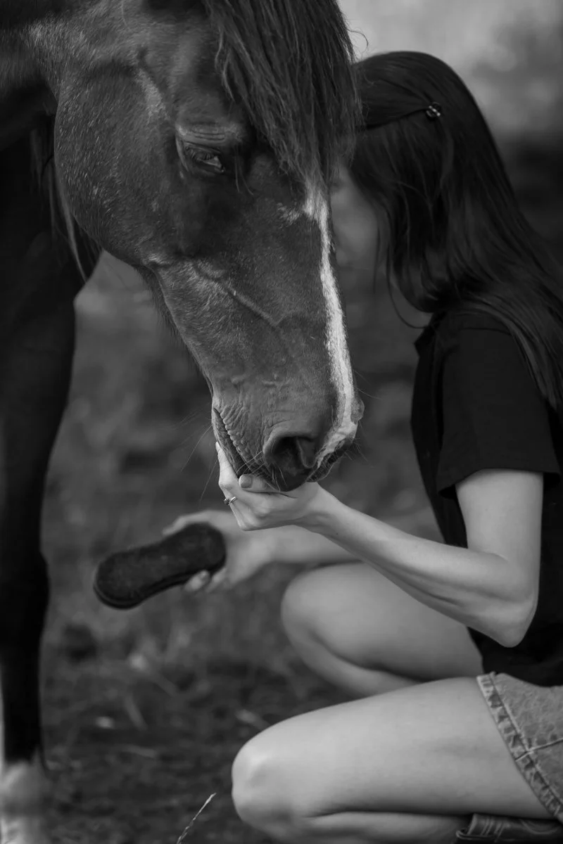 Nelson Horse Photoshoot-7.jpg