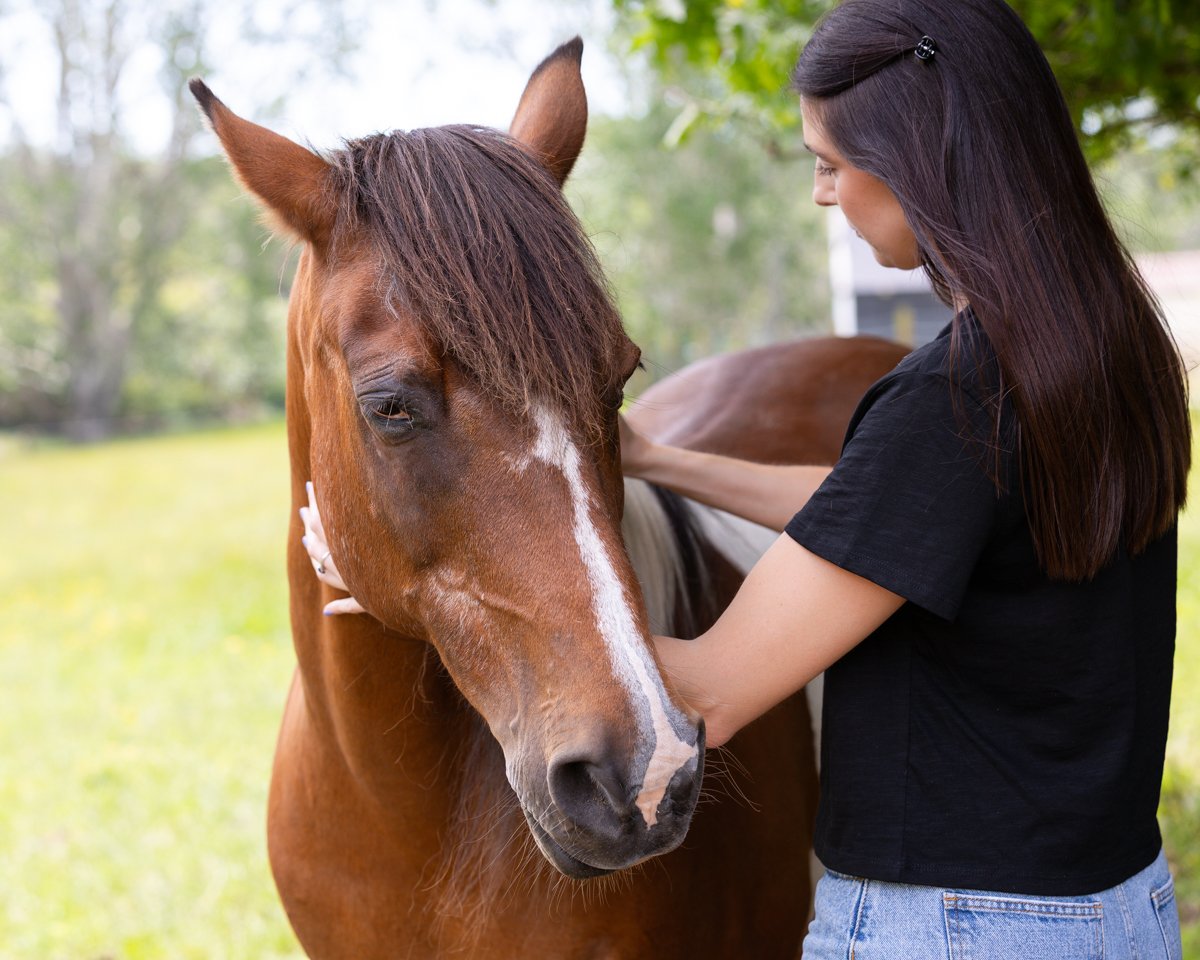 Nelson Horse Photoshoot-10.jpg