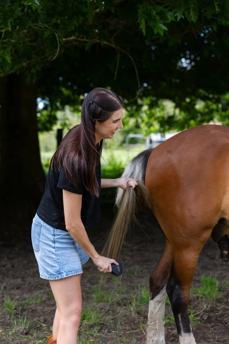 Nelson Horse Photoshoot-15.jpg