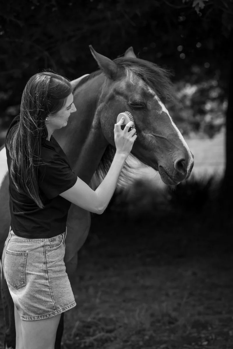 Nelson Horse Photoshoot-17.jpg