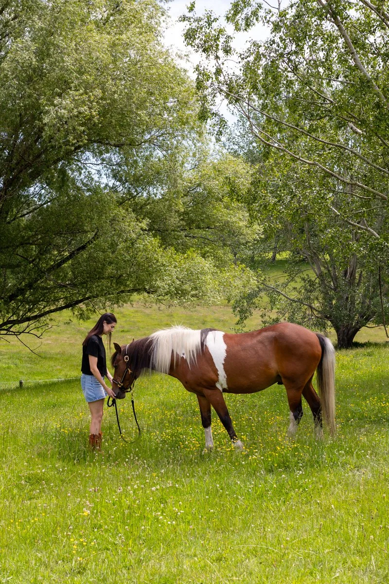 Nelson Horse Photoshoot-24.jpg