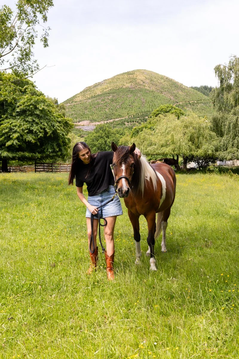Nelson Horse Photoshoot-25.jpg
