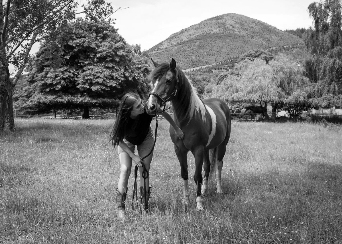Nelson Horse Photoshoot-26.jpg