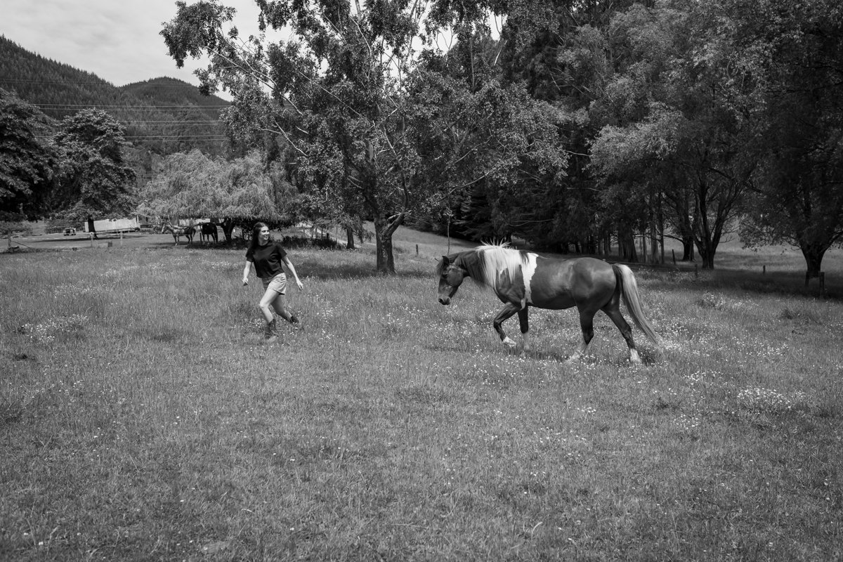 Nelson Horse Photoshoot-28.jpg