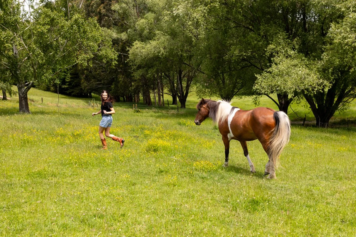 Nelson Horse Photoshoot-27.jpg
