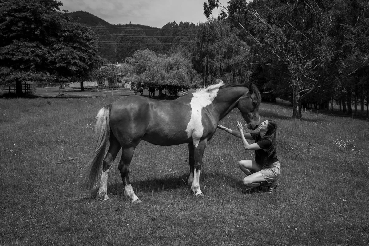 Nelson Horse Photoshoot-31.jpg