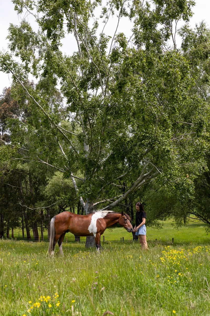 Nelson Horse Photoshoot-35.jpg