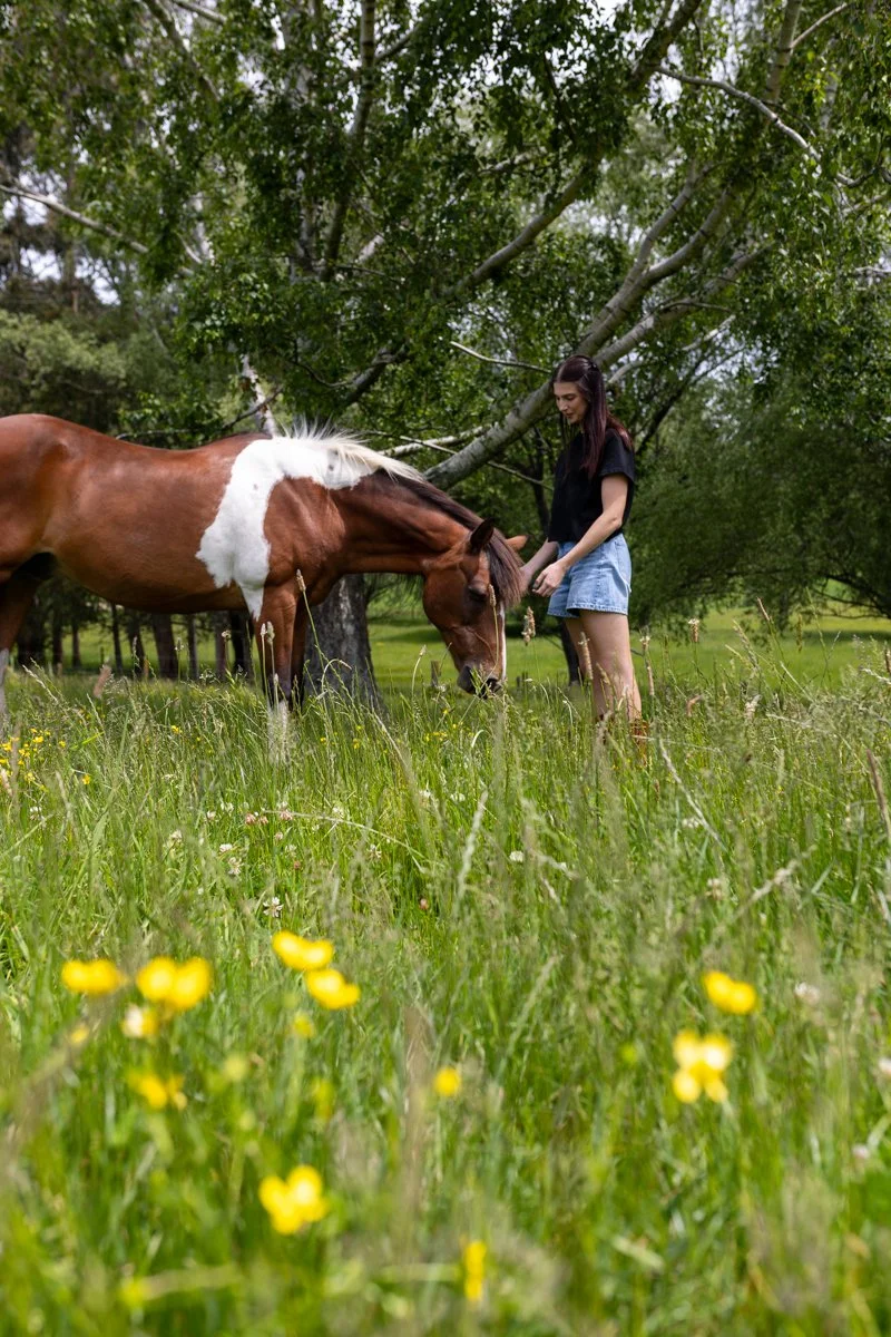 Nelson Horse Photoshoot-37.jpg