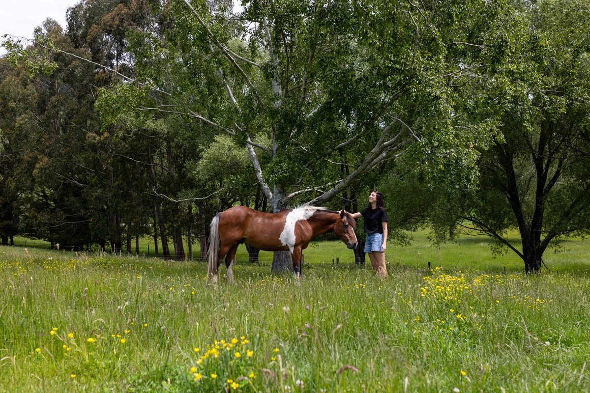 Nelson Horse Photoshoot-36.jpg