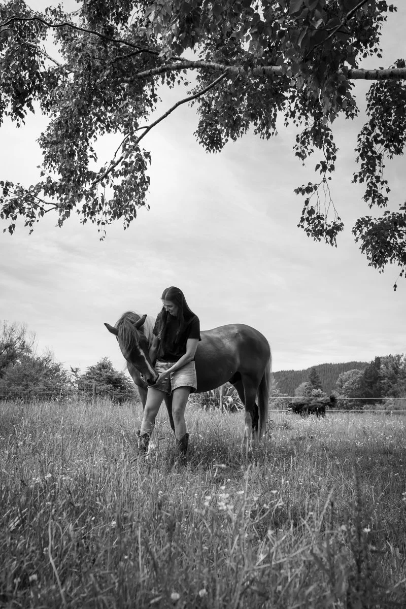 Nelson Horse Photoshoot-38.jpg