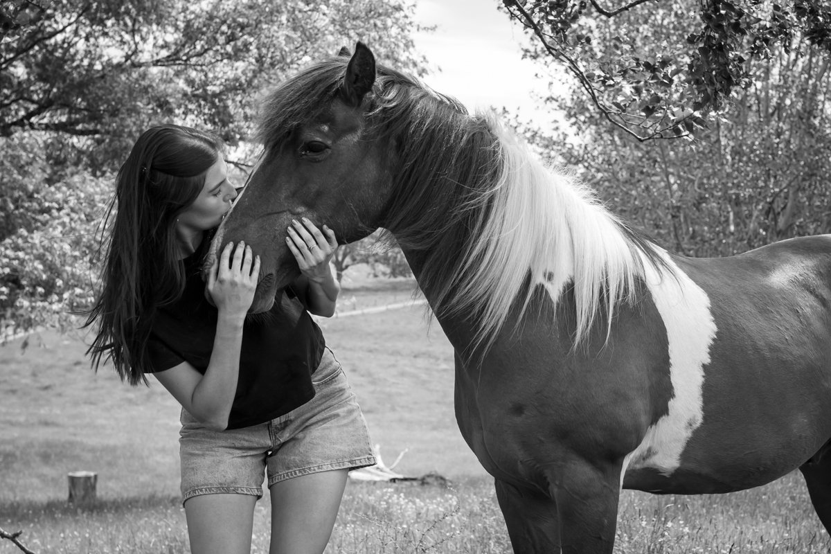 Nelson Horse Photoshoot-41.jpg