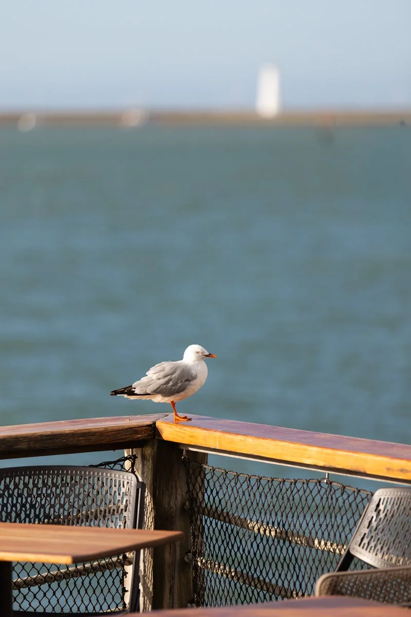 Boathouse Nelson Wedding-123.jpg