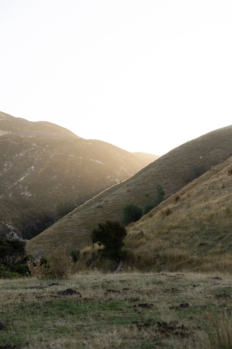 Cable Bay Elopement-22.jpg