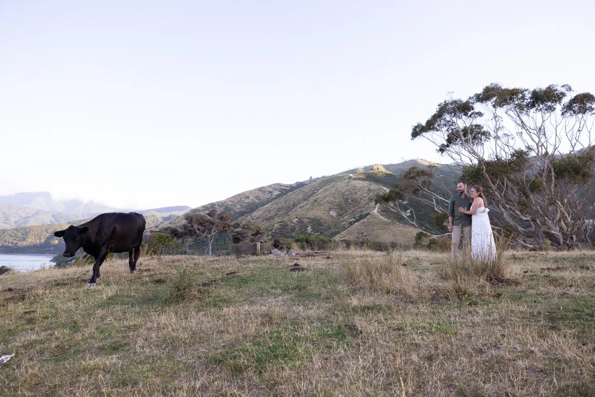 Cable Bay Elopement-24.jpg