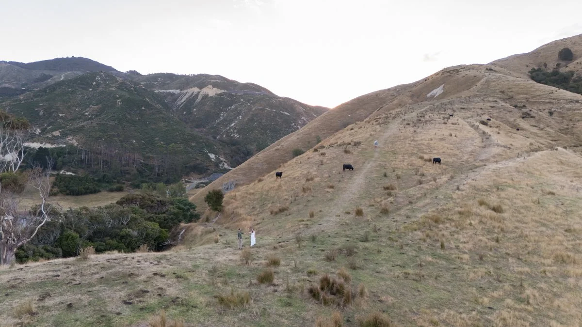 Cable Bay Elopement-70.jpg