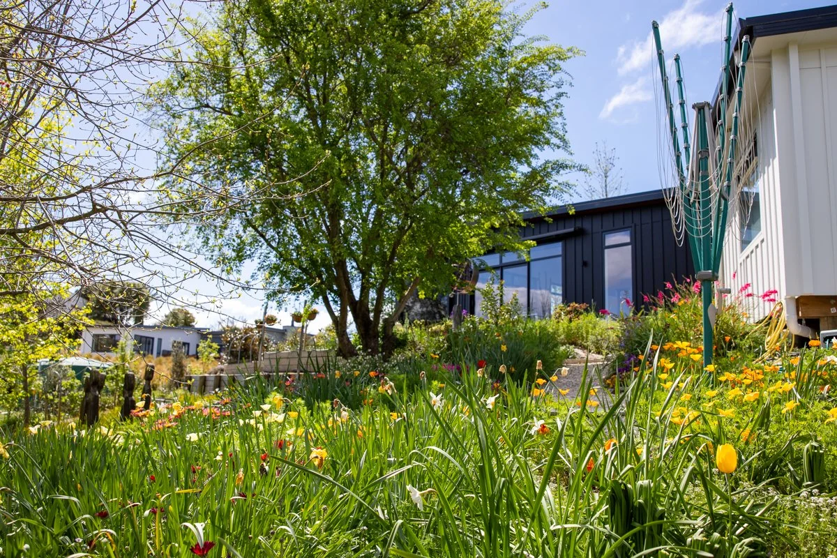 Ruby Bay Wedding-4.jpg